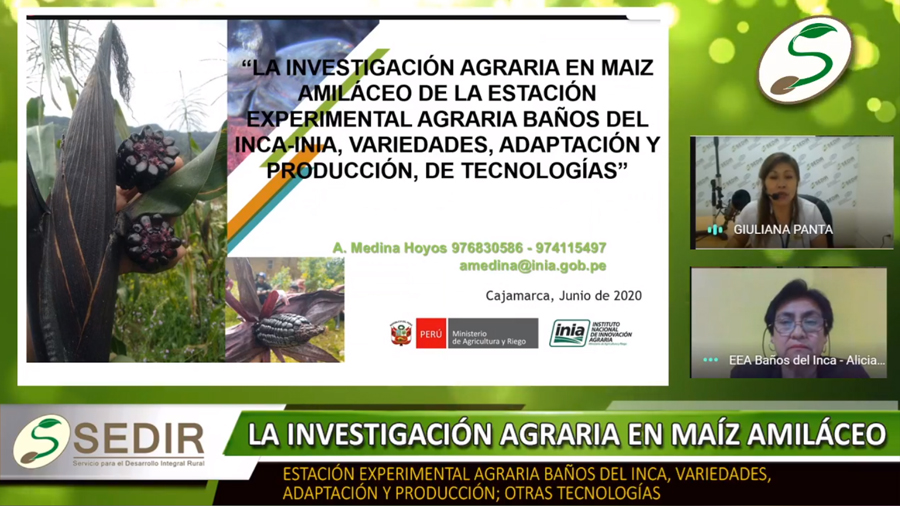 Portada Youtube