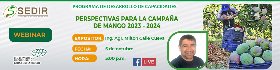 Cabecera webinar