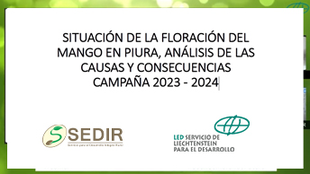 Portada PDF