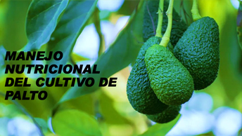 Portada PDF